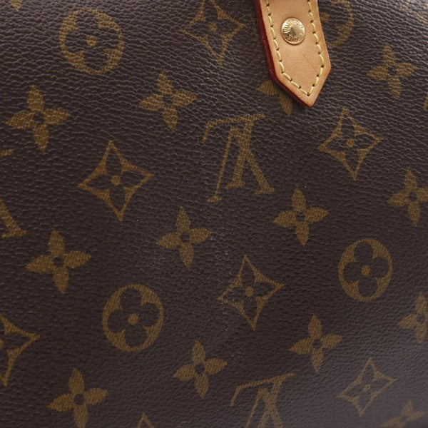 LOUIS VUITTON Monogram Ribera MM Handbag M50201