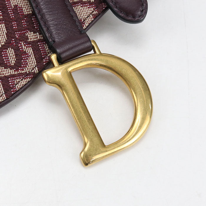 Dior Belt bag saddle body bag / Dior Oblique Women