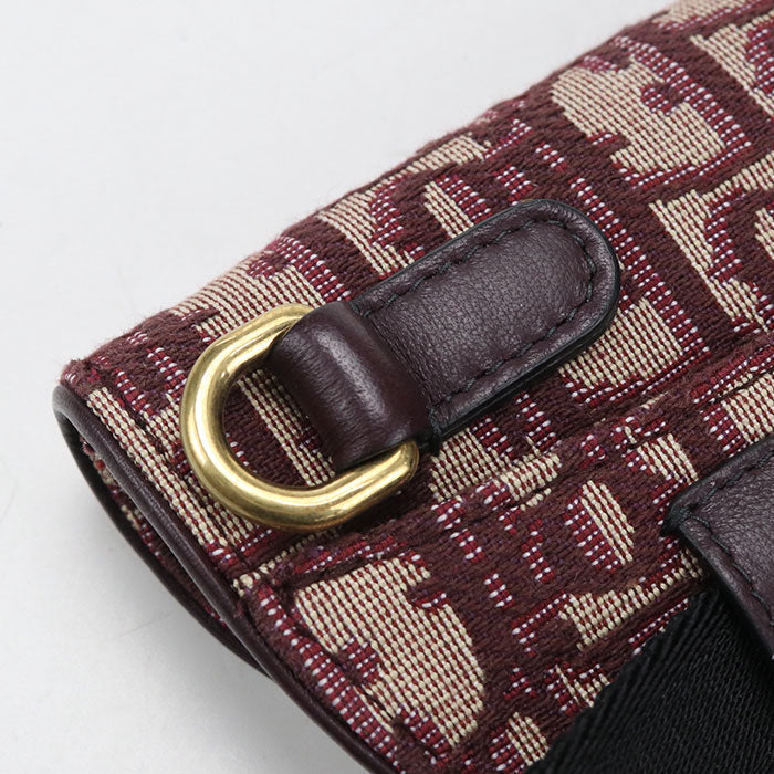 Dior Belt bag saddle body bag / Dior Oblique Women