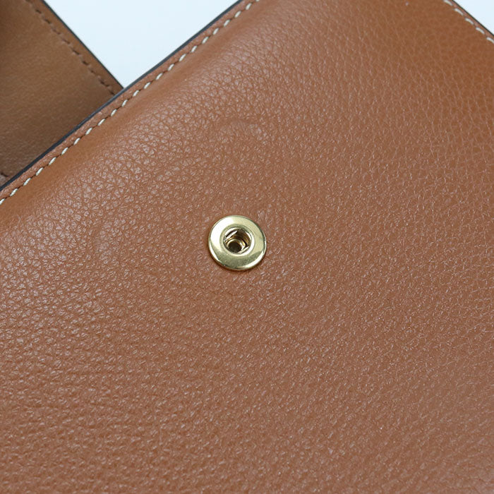 CELINE Medium strap wallet Nino 10M913GHH.04LU Bifold Wallet Calfskin Women's